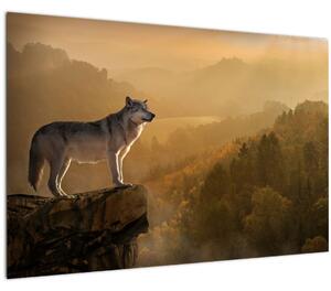 Egy farkas képe a sziklán (90x60 cm)