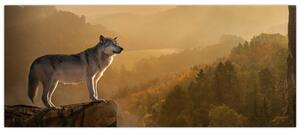 Egy farkas képe a sziklán (120x50 cm)