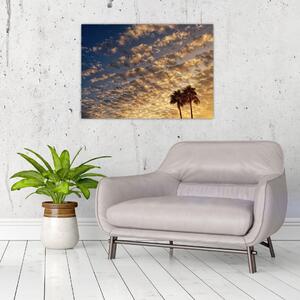Kép - Pálmafák a felhők között (70x50 cm)