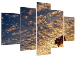 Kép - Pálmafák a felhők között (150x105 cm)