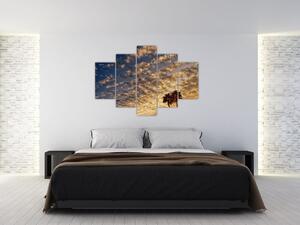 Kép - Pálmafák a felhők között (150x105 cm)