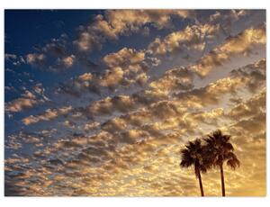 Kép - Pálmafák a felhők között (70x50 cm)