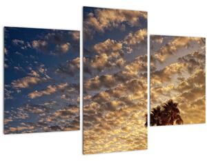 Kép - Pálmafák a felhők között (90x60 cm)