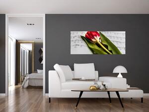 Egy vörös tulipán képe (120x50 cm)
