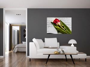 Egy vörös tulipán képe (90x60 cm)