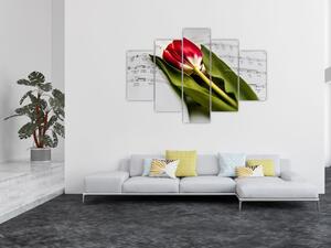 Egy vörös tulipán képe (150x105 cm)