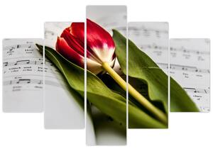 Egy vörös tulipán képe (150x105 cm)