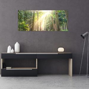 Egy ösvény képe az erdőben (120x50 cm)