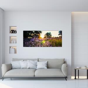 Egy levendulamező képe (120x50 cm)