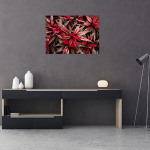 Piros szirmok képe (70x50 cm)