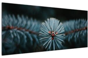 Egy tűlevelű fa gallyának képe (120x50 cm)
