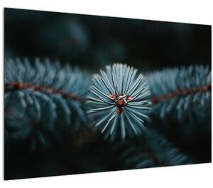 Egy tűlevelű fa gallyának képe (90x60 cm)