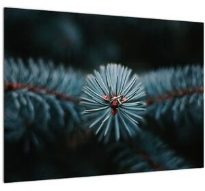 Egy tűlevelű fa gallyának képe (üvegen) (70x50 cm)