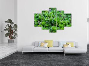A pozsgás növények képe (150x105 cm)