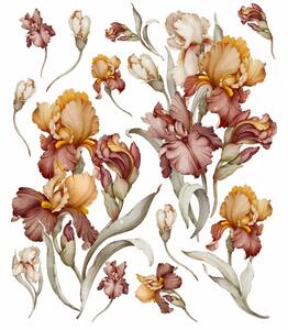 Gario Falmatrica Iris - gyönyörű íriszek