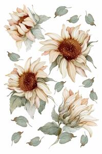 Gario Falmatrica Sunflower - színes napraforgók