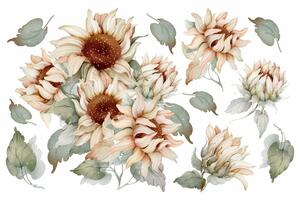 Gario Falmatrica Sunflower - elképesztő napraforgók
