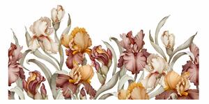 Gario Falmatrica Iris - szép színű íriszek