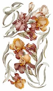 Gario Falmatrica Iris - színes íriszek