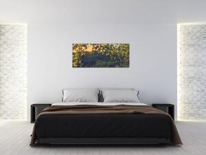Kép - szőlőültetvény (120x50 cm)