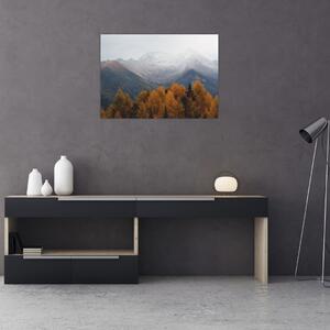 Kép - Kilátás a hegyre (70x50 cm)