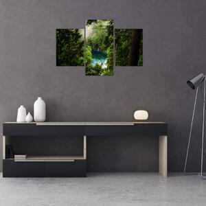 Kép - kilátás a fák között (90x60 cm)
