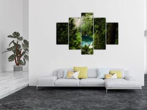 Kép - kilátás a fák között (150x105 cm)