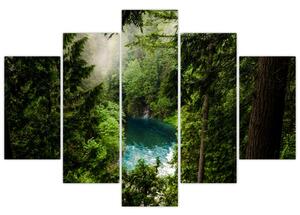 Kép - kilátás a fák között (150x105 cm)