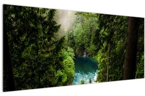 Kép - kilátás a fák között (120x50 cm)