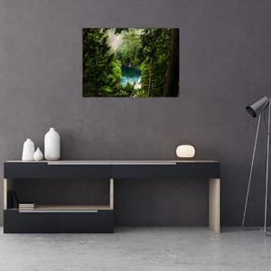 Kép - kilátás a fák között (70x50 cm)