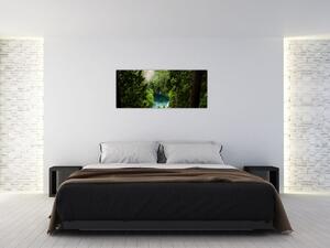 Kép - kilátás a fák között (120x50 cm)