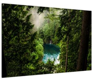 Kép - kilátás a fák között (90x60 cm)