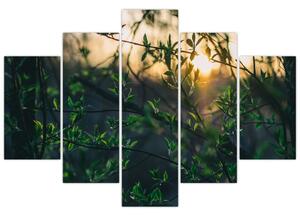A ragyogó nap képe a fák gallyain keresztül (150x105 cm)