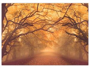 Egy út képe egy őszi tájon (70x50 cm)