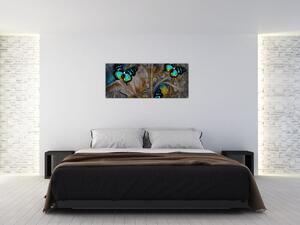 Kép - fényes pillangók képben (120x50 cm)