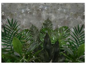 Kép - Betonfal növényekkel (70x50 cm)