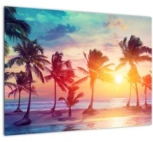 Kép - trópusi naplemente (üvegen) (70x50 cm)