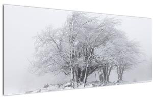 Kép - fehér tél (120x50 cm)