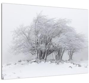 Kép - fehér tél (70x50 cm)