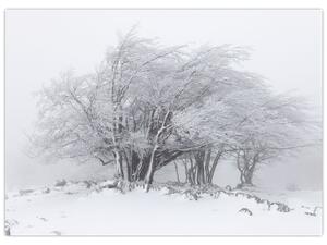 Kép - fehér tél (üvegen) (70x50 cm)