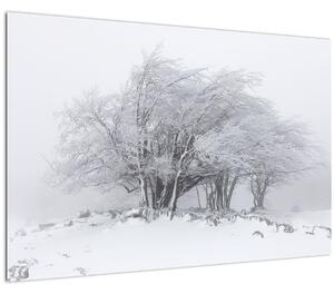 Kép - fehér tél (90x60 cm)