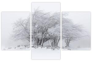 Kép - fehér tél (90x60 cm)