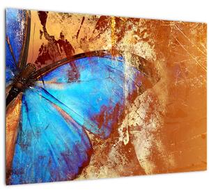 Kép - Kék pillangó (70x50 cm)