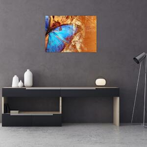 Kép - Kék pillangó (70x50 cm)