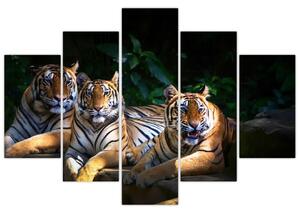 Kép - Tigris testvérek (150x105 cm)