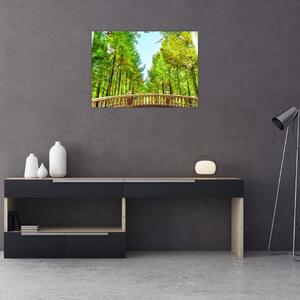 Kép - Kilátás az erdőre (70x50 cm)
