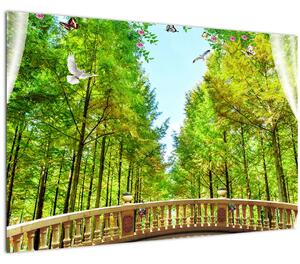 Kép - Kilátás az erdőre (90x60 cm)