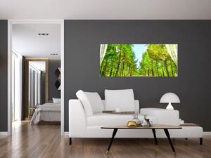 Kép - Kilátás az erdőre (120x50 cm)