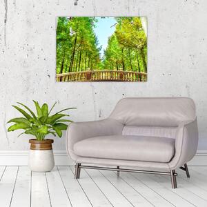 Kép - Kilátás az erdőre (70x50 cm)