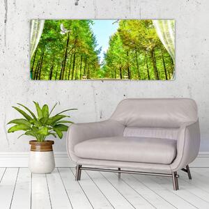 Kép - Kilátás az erdőre (120x50 cm)